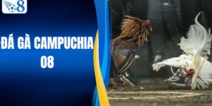 Đá Gà Campuchia - Khám Phá Sới Đấu Thần Kê Đỉnh Cao O8