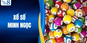 Xổ Số Minh Ngọc Tại O8 - Cập Nhật Nhanh Và Chuẩn Xác